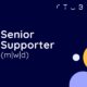 Senior Supporter (m/w/d) 2