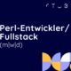 Perl-Entwickler / Fullstack (m/w/d) 2