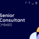 Senior Consultant (m/w/d) 2