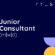 Junior Consultant (m/w/d) 2