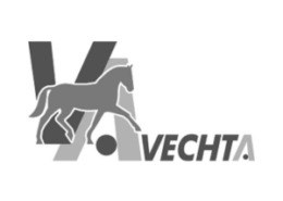 Stadt Vechta Stadt Vechta